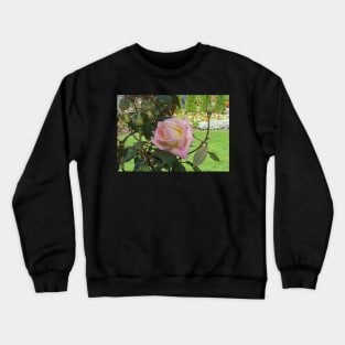 Pink Rose Crewneck Sweatshirt